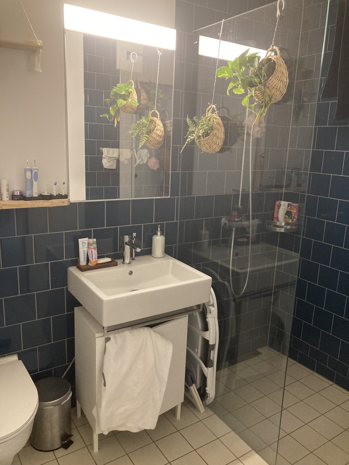 3 ½ Zimmer-Wohnung