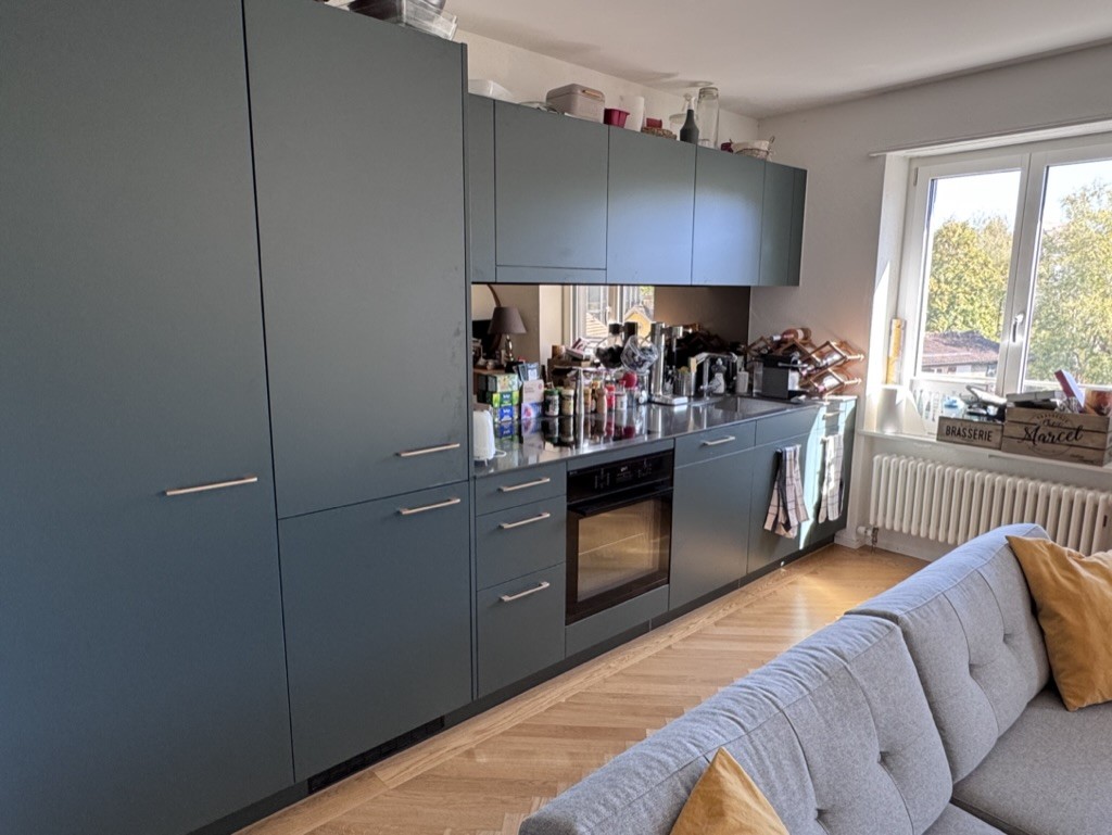 Appartement de 3 ½ pièces