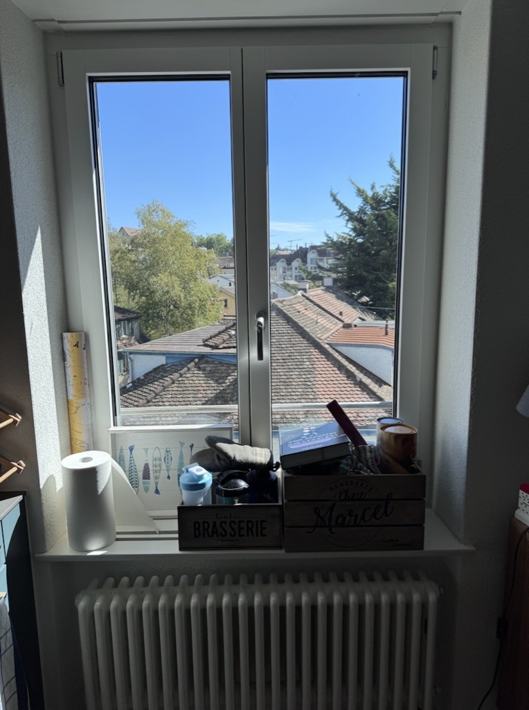 Appartement de 3 ½ pièces