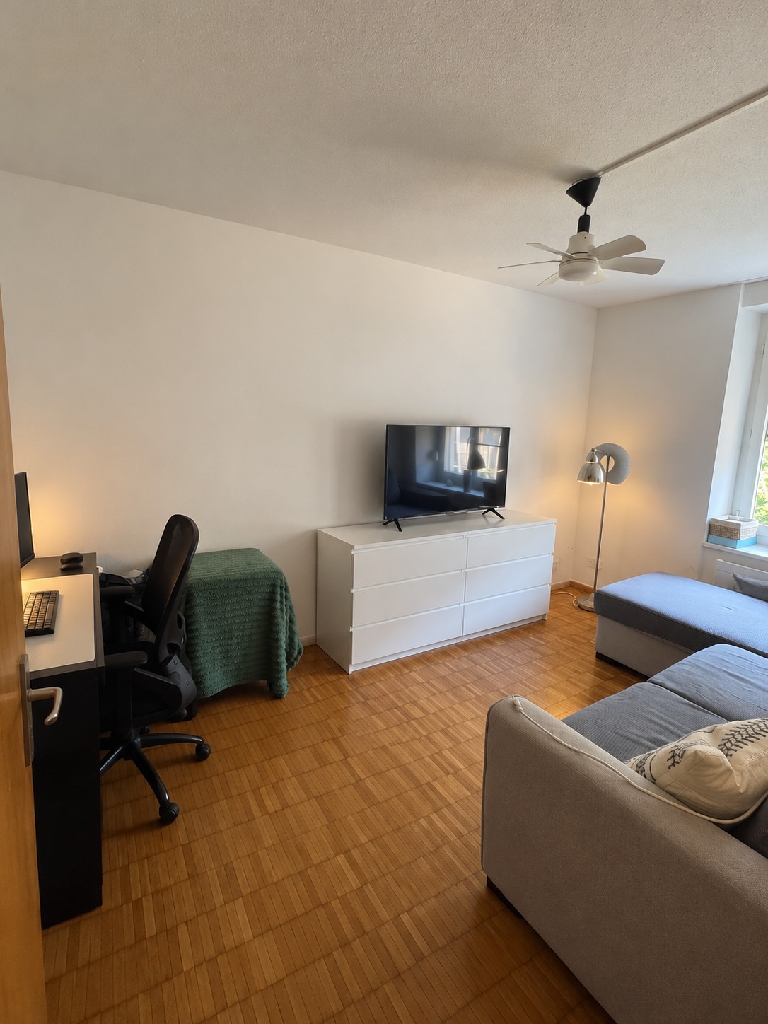 3 ½ room apartment