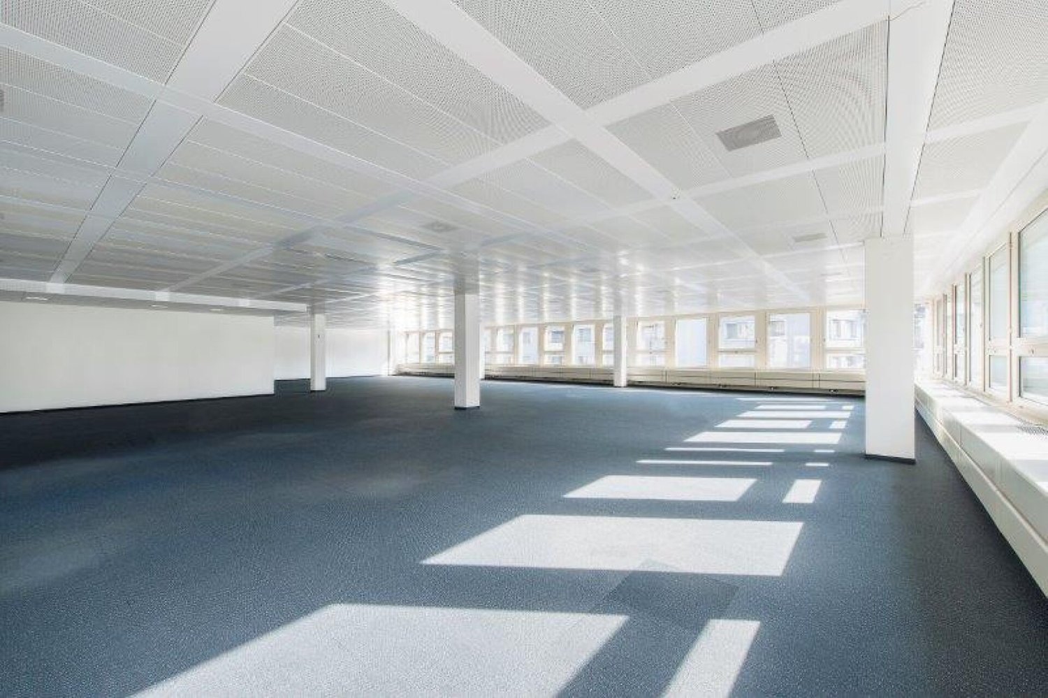 600m² office