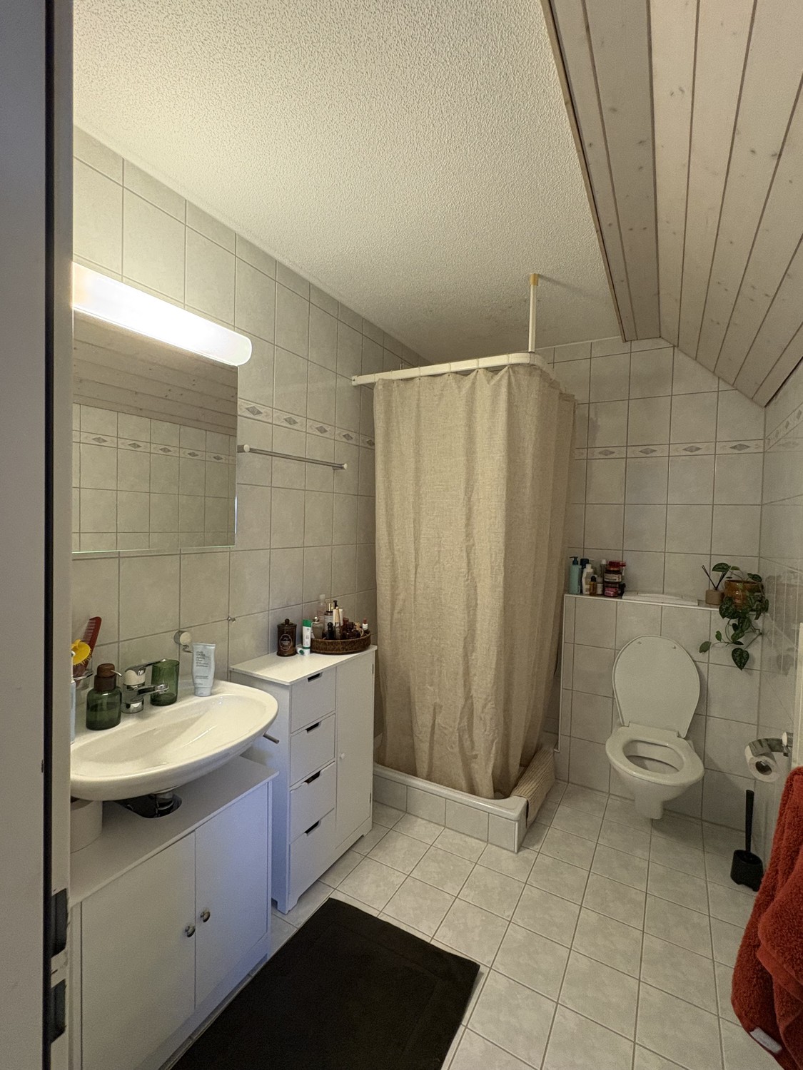 Chambre dans une colocation

Une chambre dans une WG calme et amicale avec salle de bain privée et débarras – disponible dès le 1er novembre 2026.

Salut ! Nous recherchons un nouveau colocataire pour reprendre la plus grande chambre de notre WG à Schwamendingen, Zürich.

La chambre :
- La plus gran
