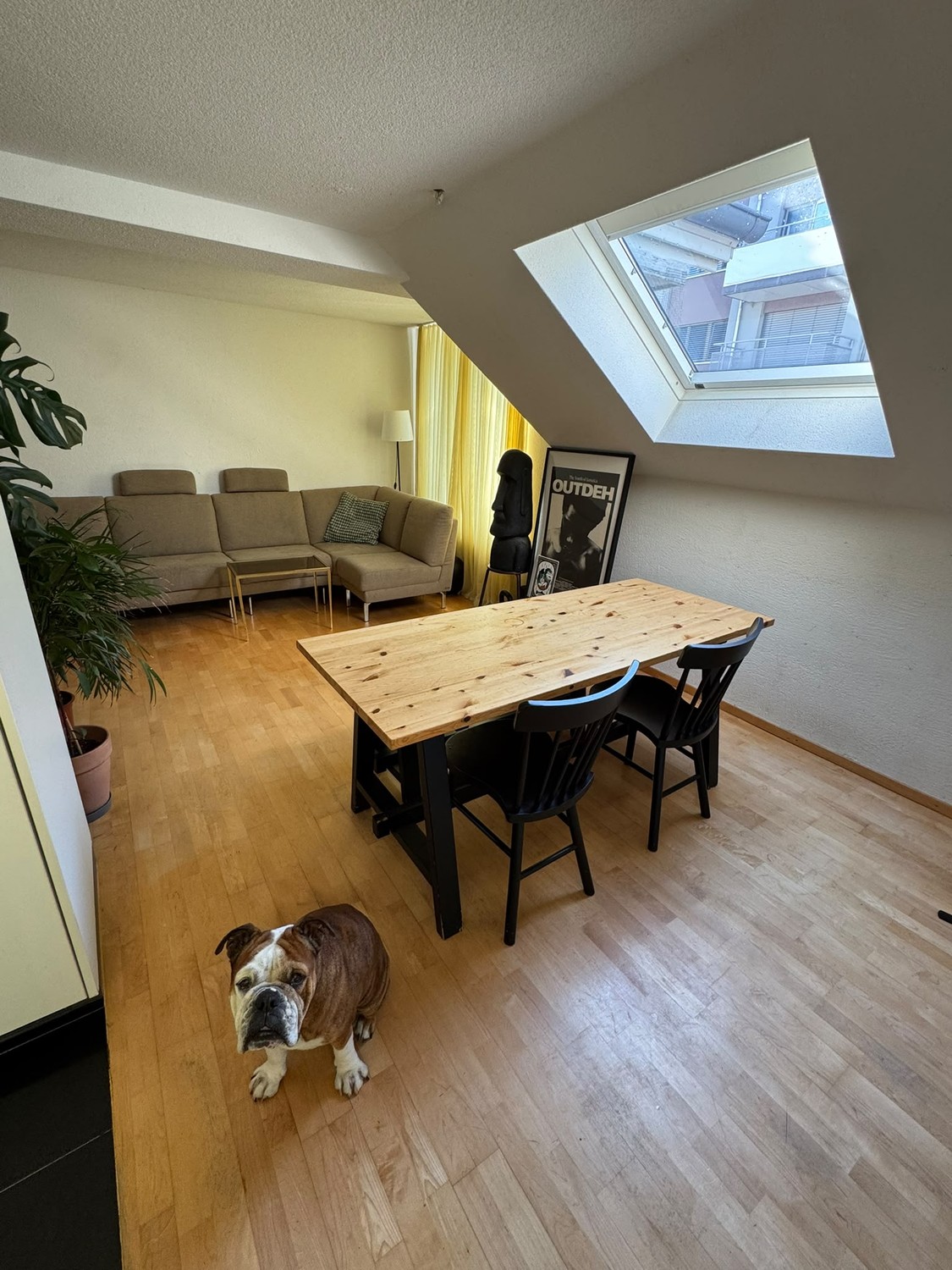 2 rooms apartment, Foto 8 von 8