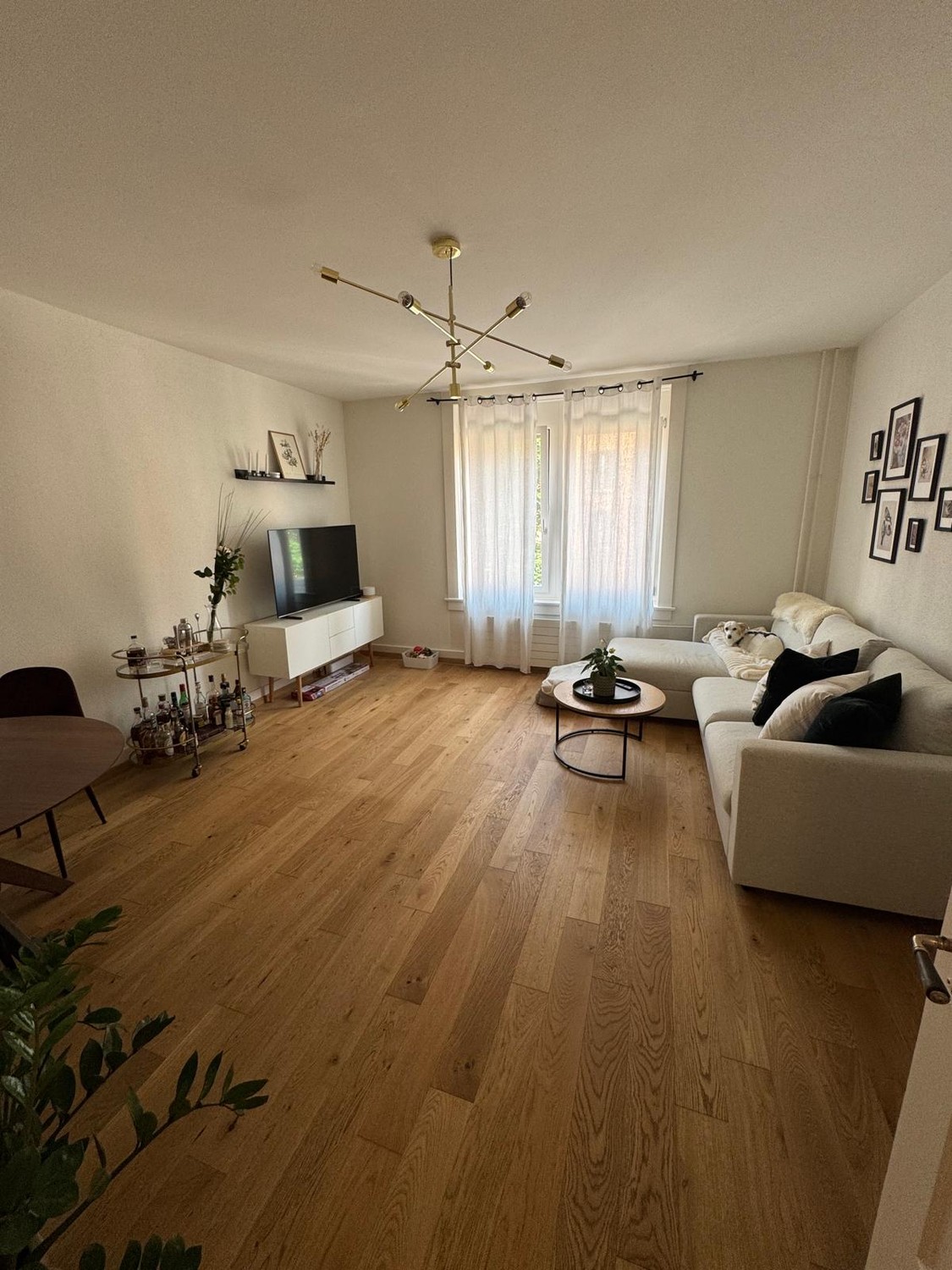 Chambre en colocation, photo 3 sur 7