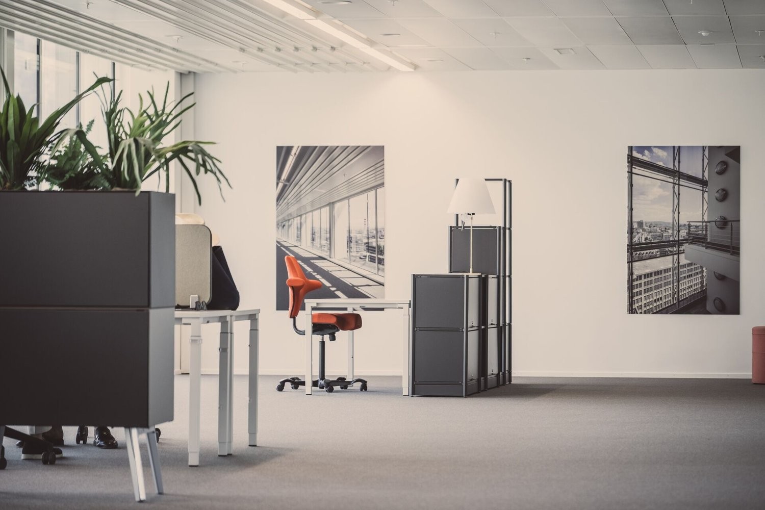 962m² de bureaux