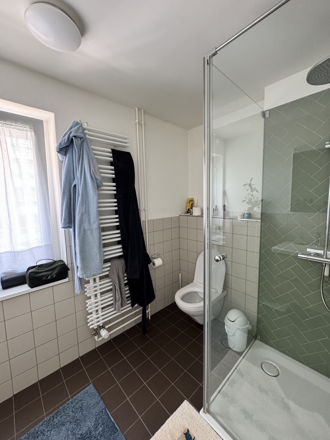 2 ½ Zimmer-Wohnung