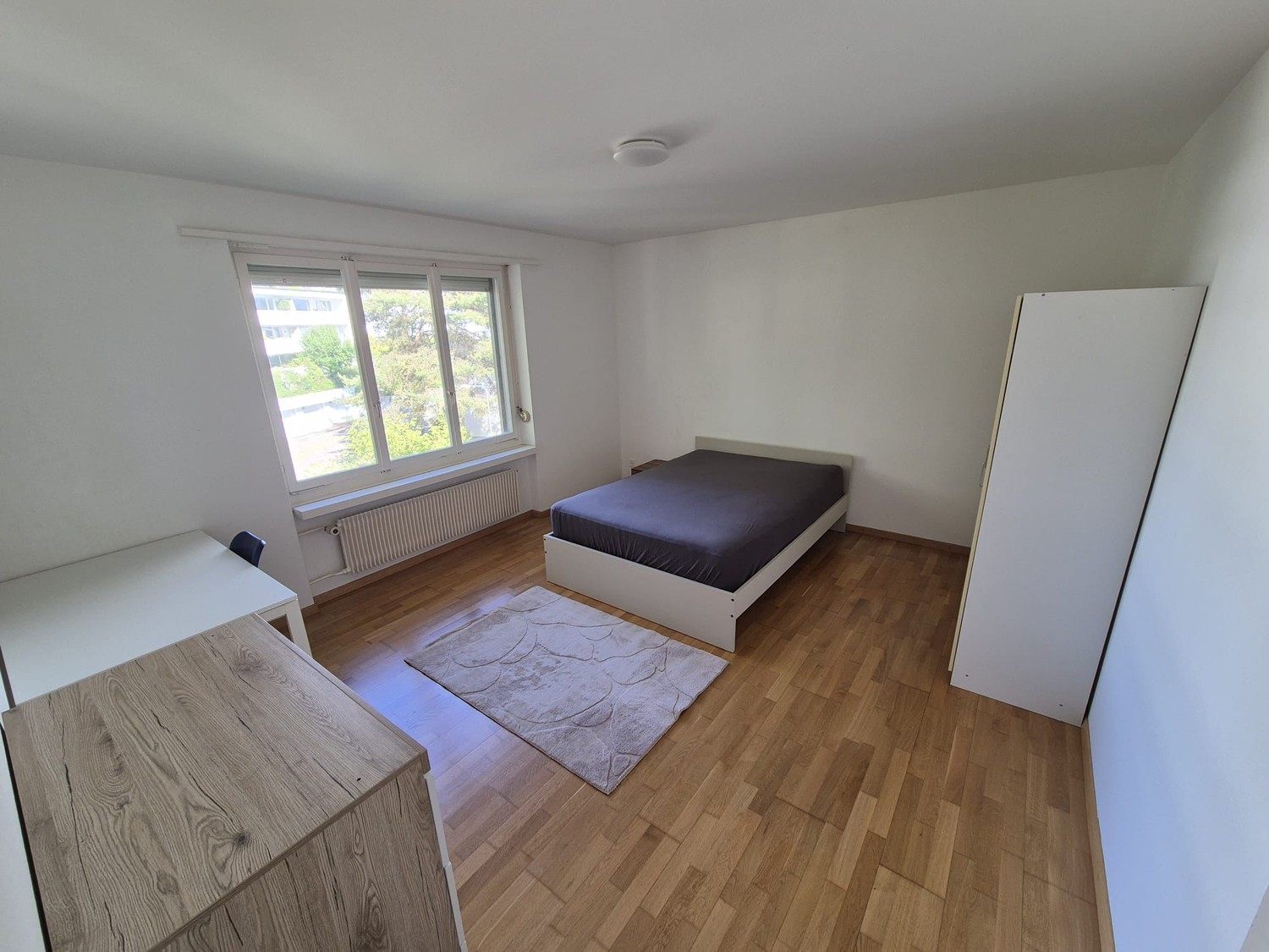 Chambre dans une colocation