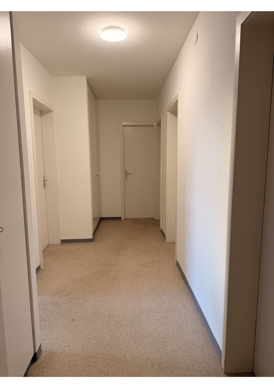 Chambre en colocation