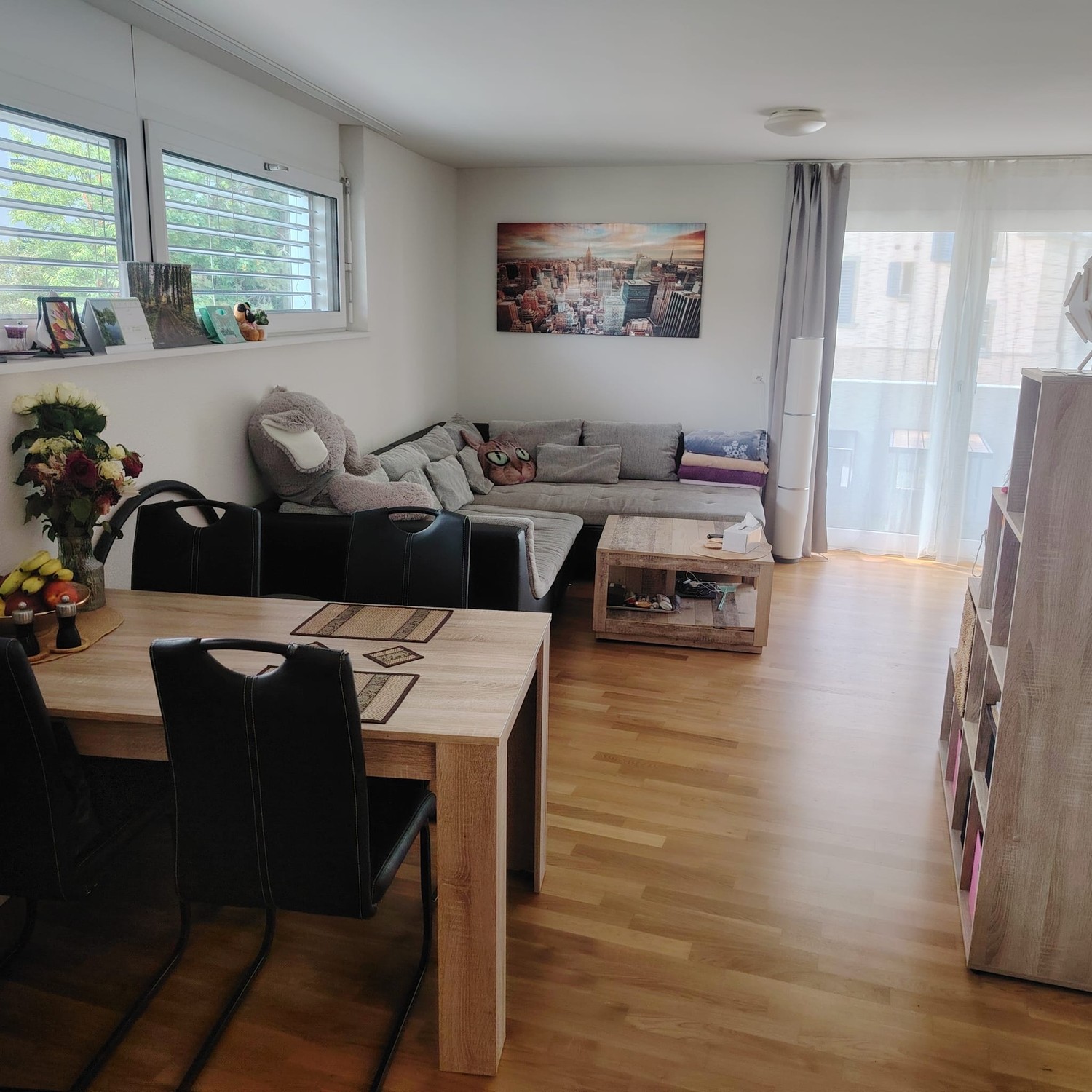 2 ½ rooms apartment