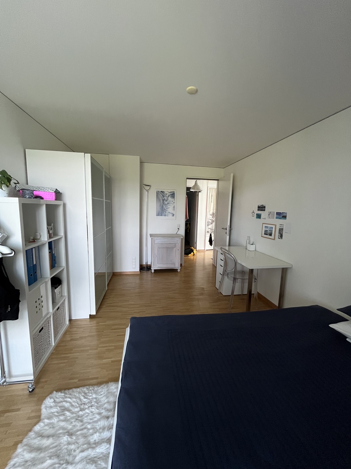Room in a shared flat