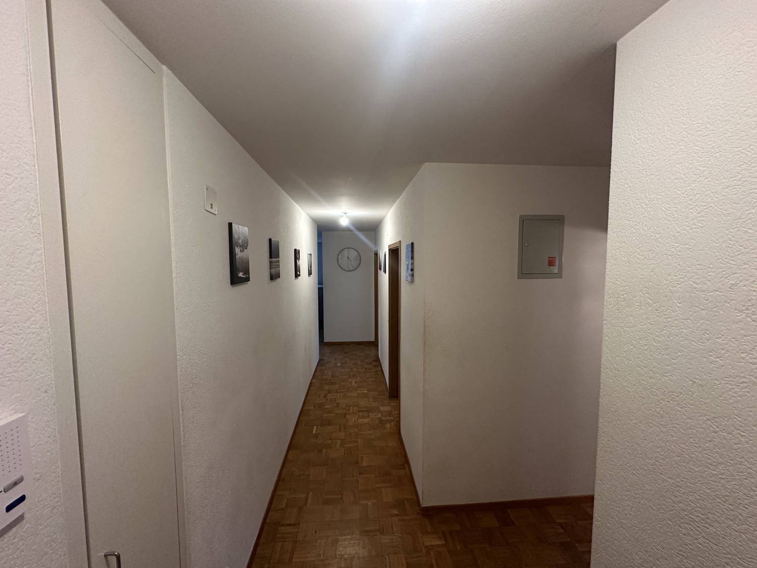 Stanze in appartamento condiviso