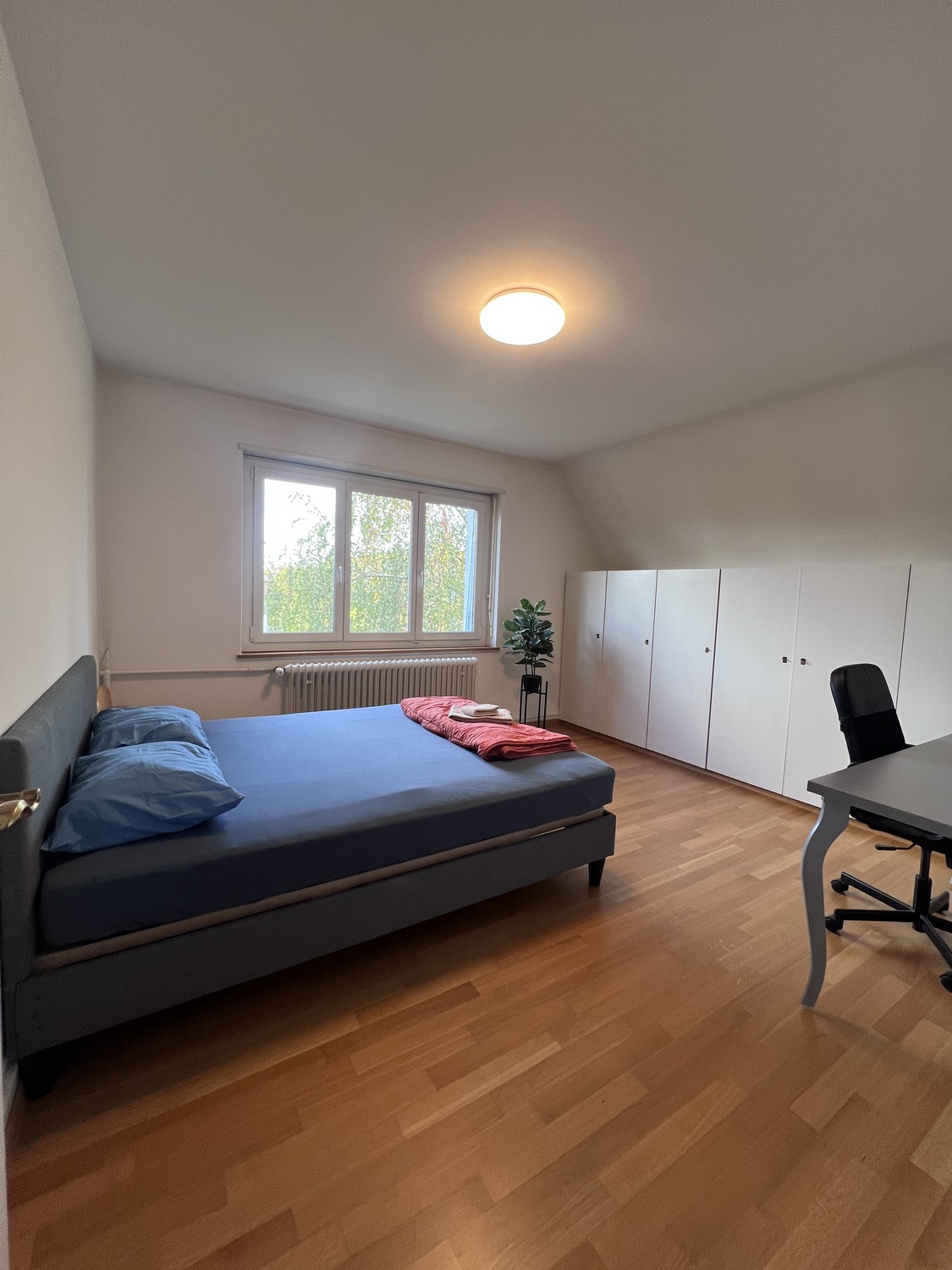 Chambre en colocation, photo 2 sur 10