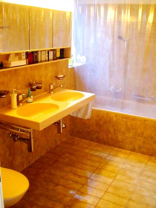 Appartement de 2 ½ pièces