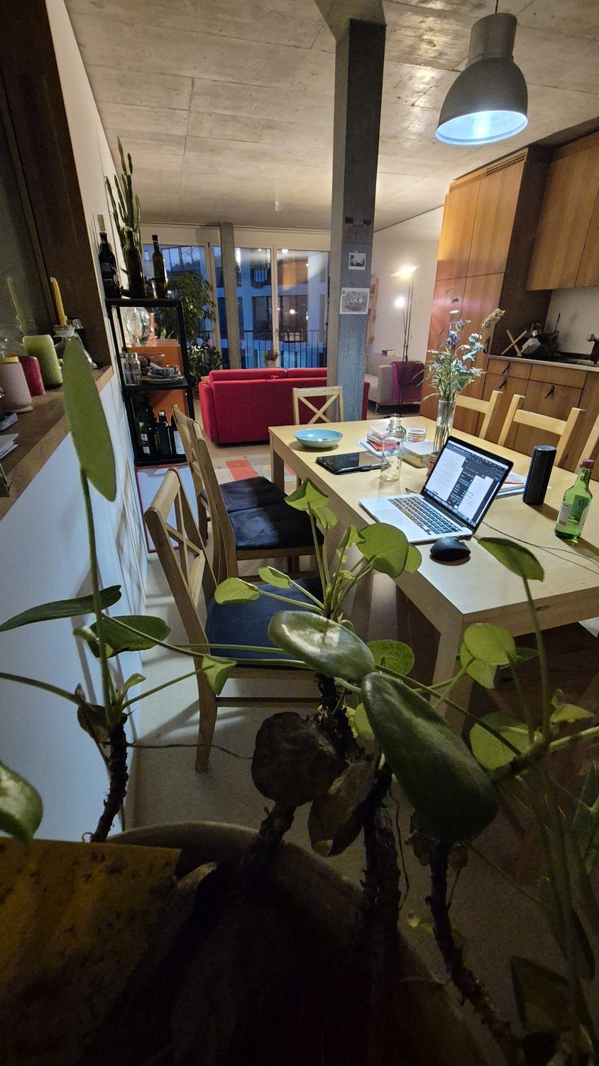 Room in a shared flat