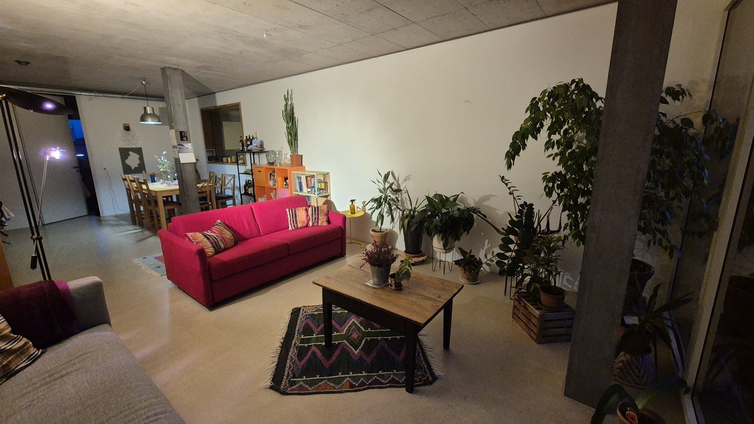 Room in a shared flat
