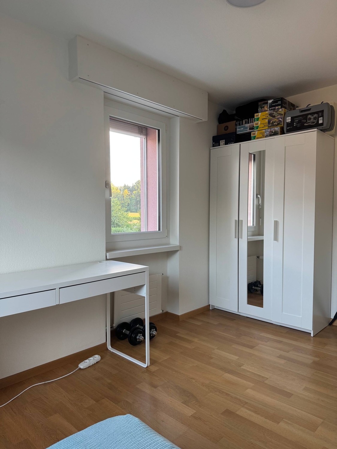 Room in a shared flat