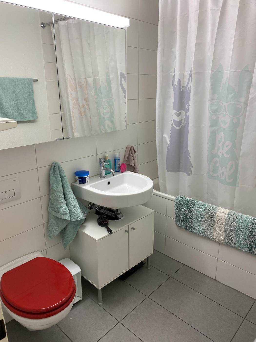 Appartement de 1 ½ pièces