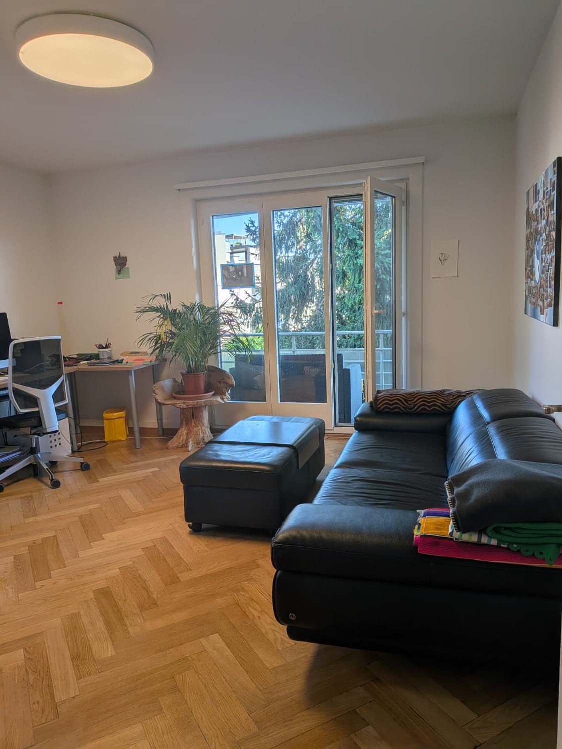 Room in a shared flat