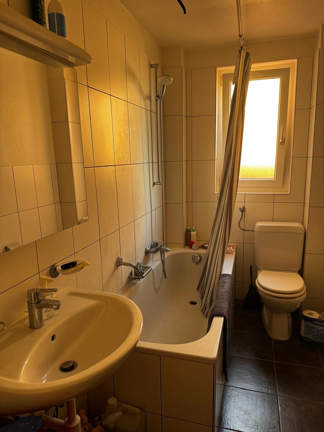 Appartement de 3 ½ pièces