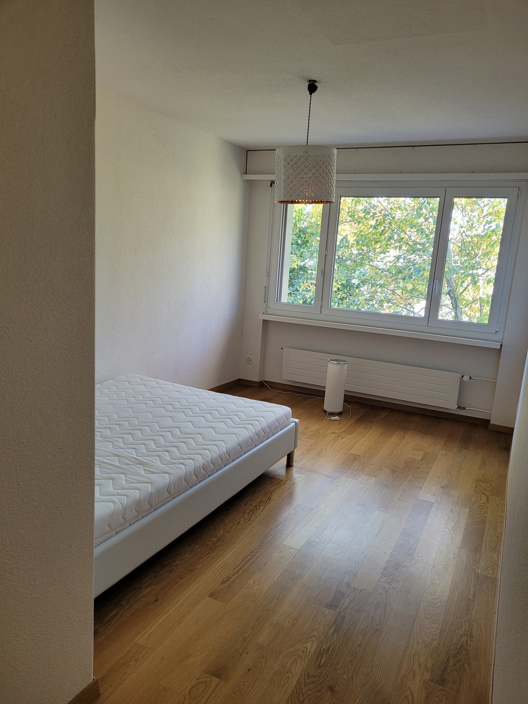 Chambre en colocation, photo 1 sur 7
