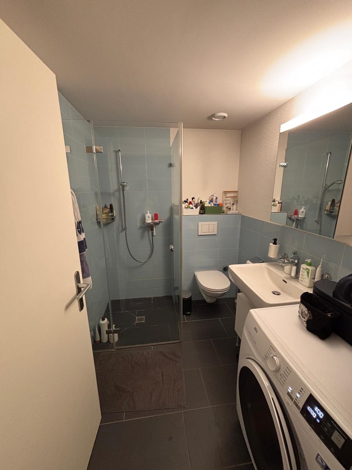 1 ½ Zimmer-Wohnung