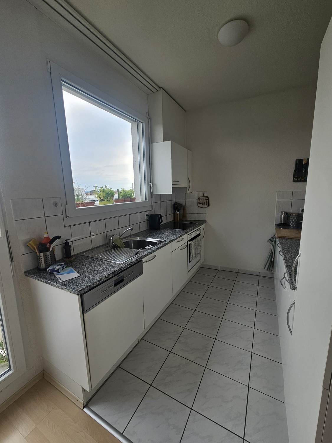 3 ½ rooms apartment