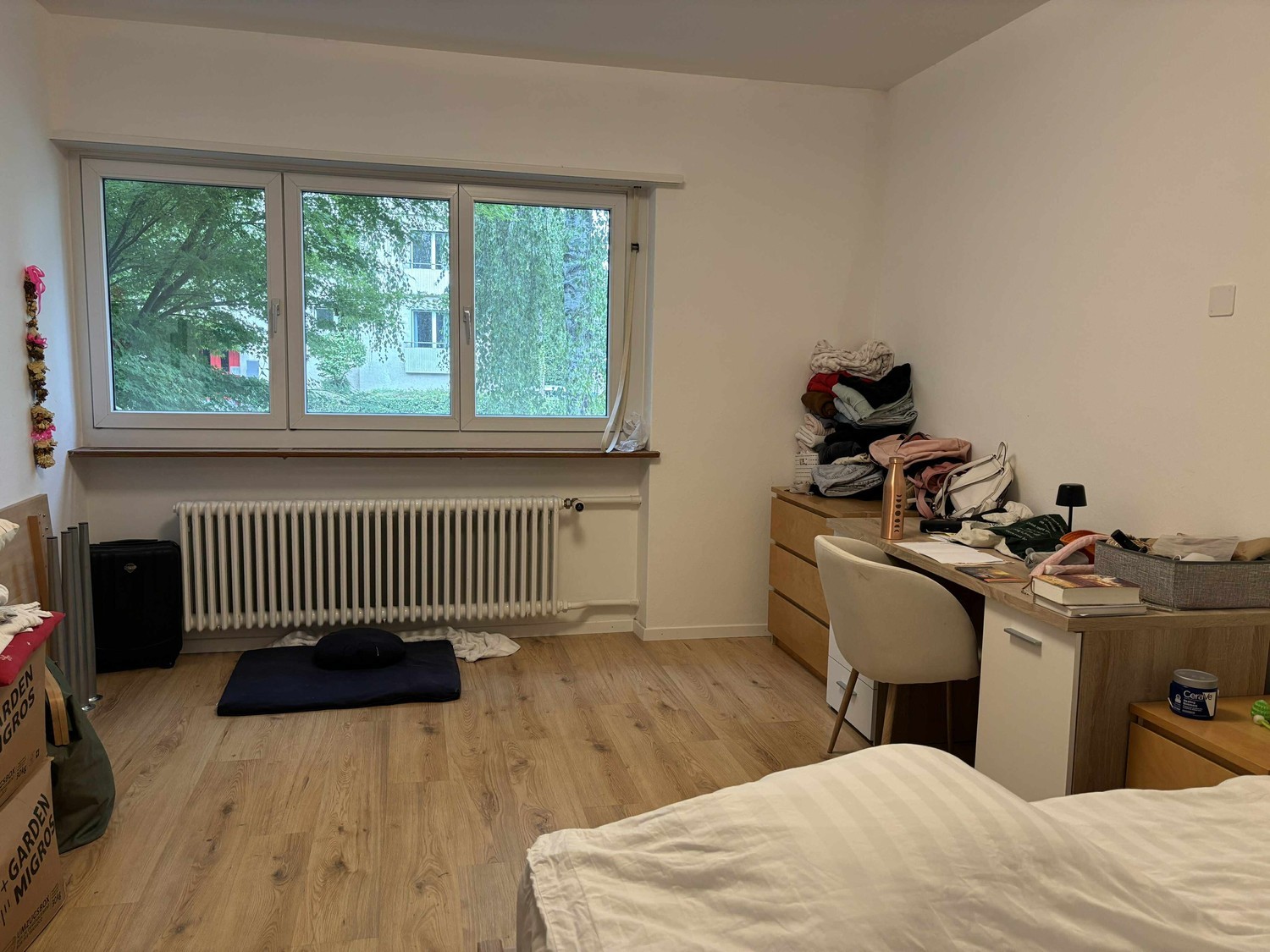 Room in a shared flat