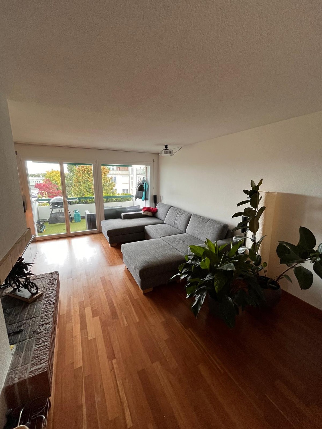 Room in a shared flat