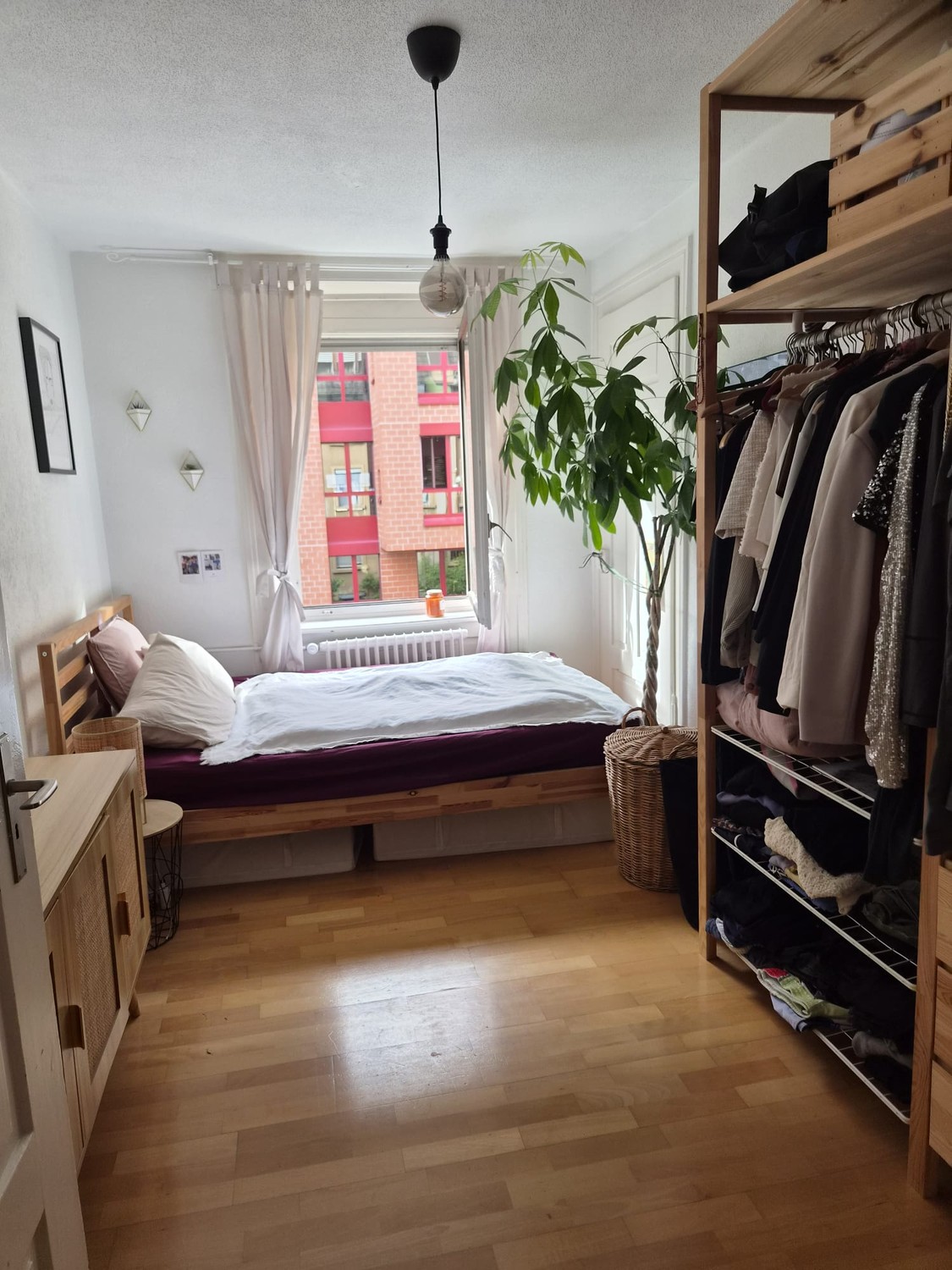 Room in a shared flat