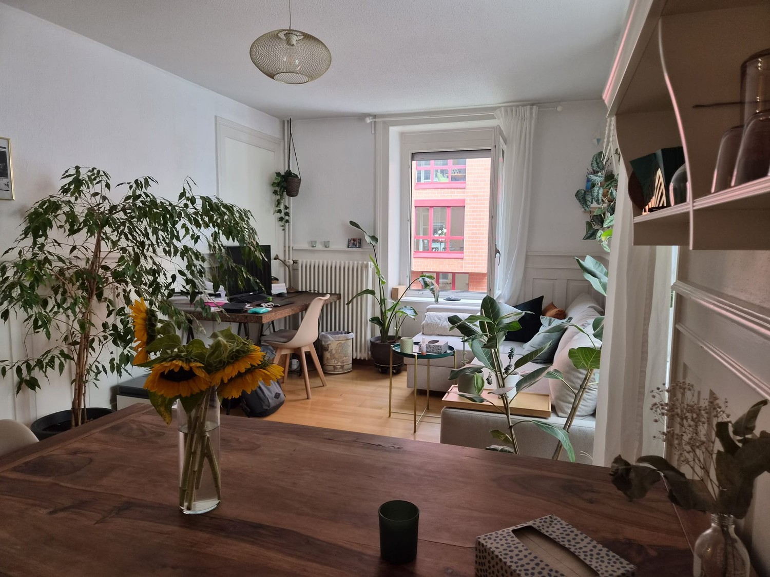 Room in a shared flat