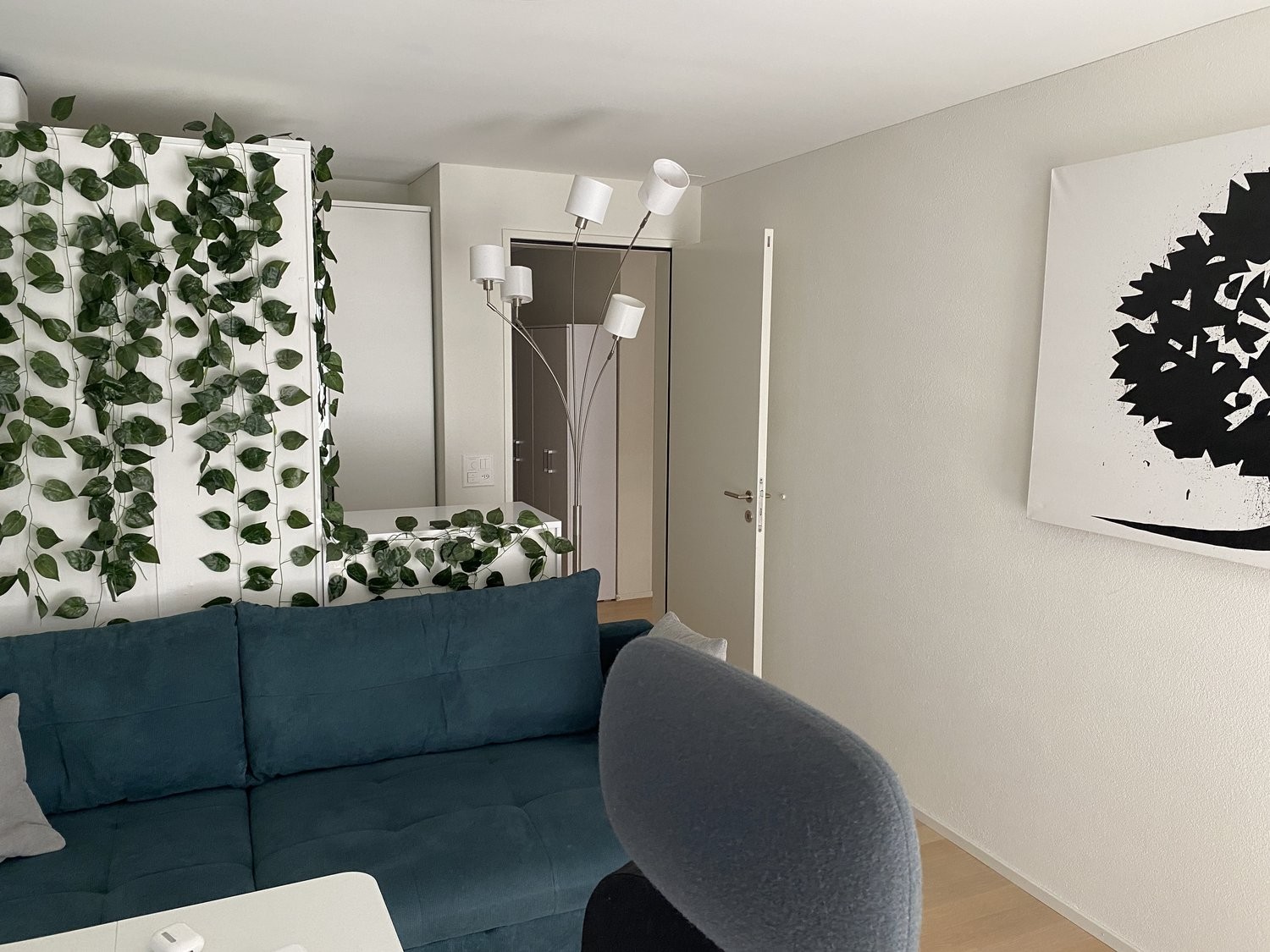 Appartement meublé de 2 ½ pièces