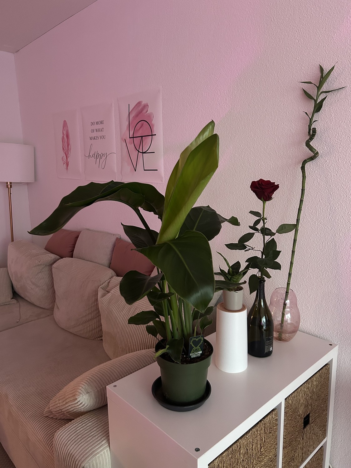 Appartement de 2 ½ pièces, photo 3 sur 7