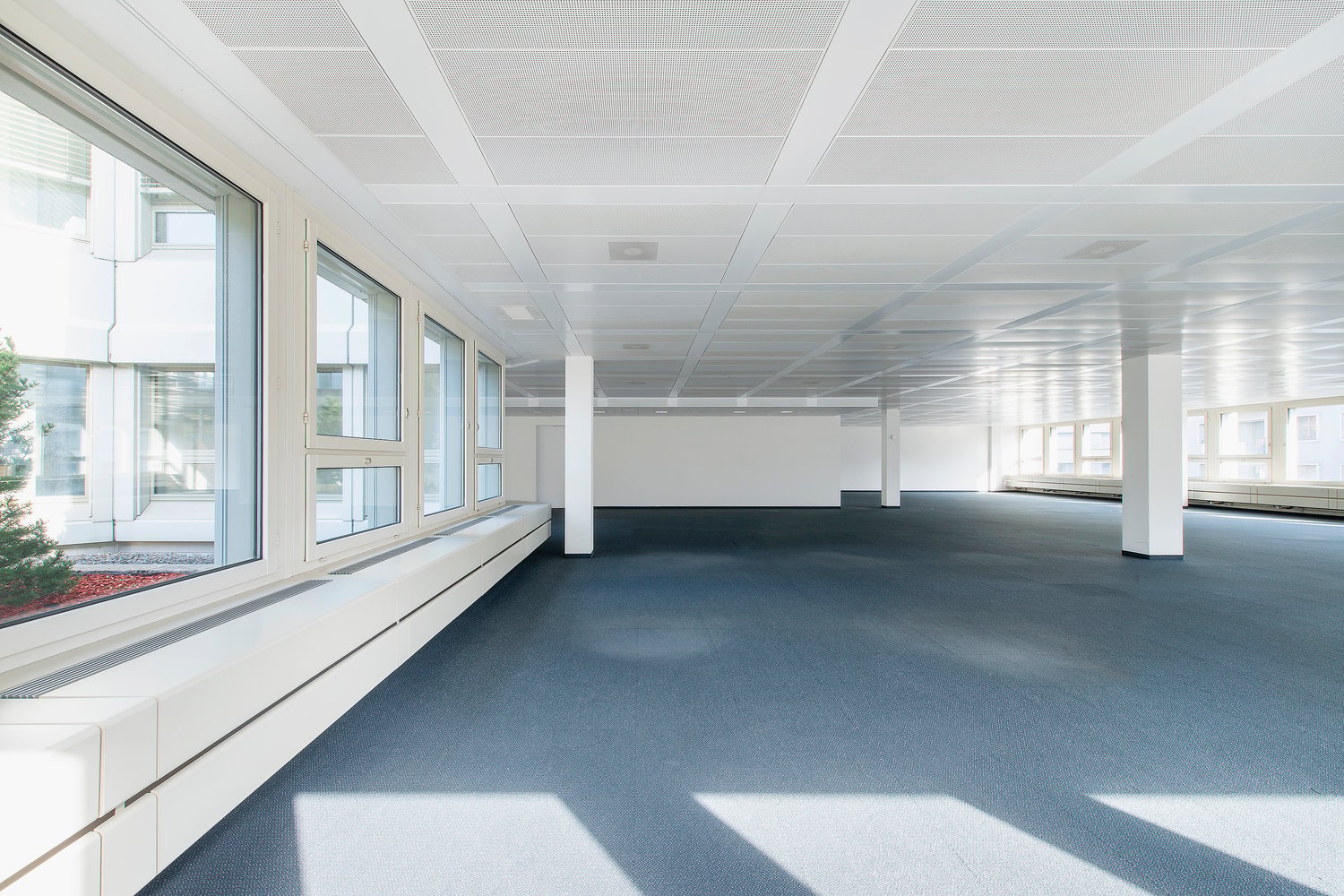 350m² office