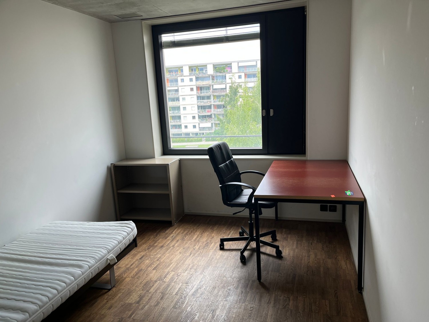Camera in appartamento condiviso