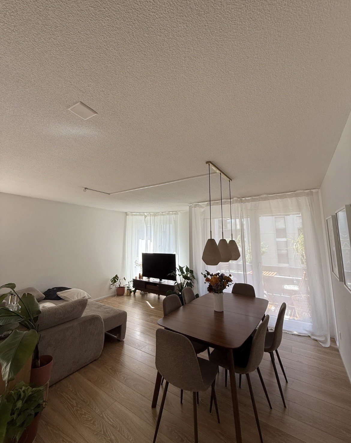 Room in a shared flat