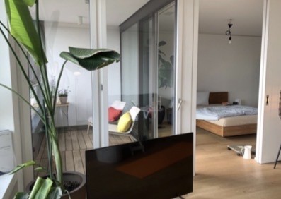 Appartamento di 2 ½ locali, foto 3 di 4