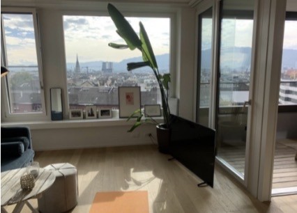 Appartamento di 2 ½ locali, foto 2 di 4