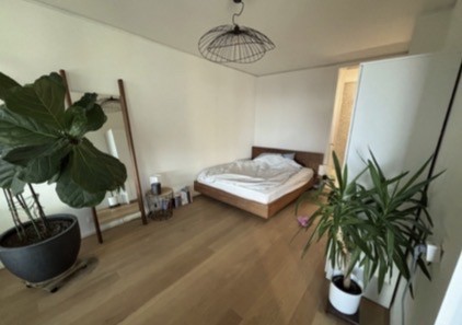 Appartamento di 2 ½ locali, foto 4 di 4