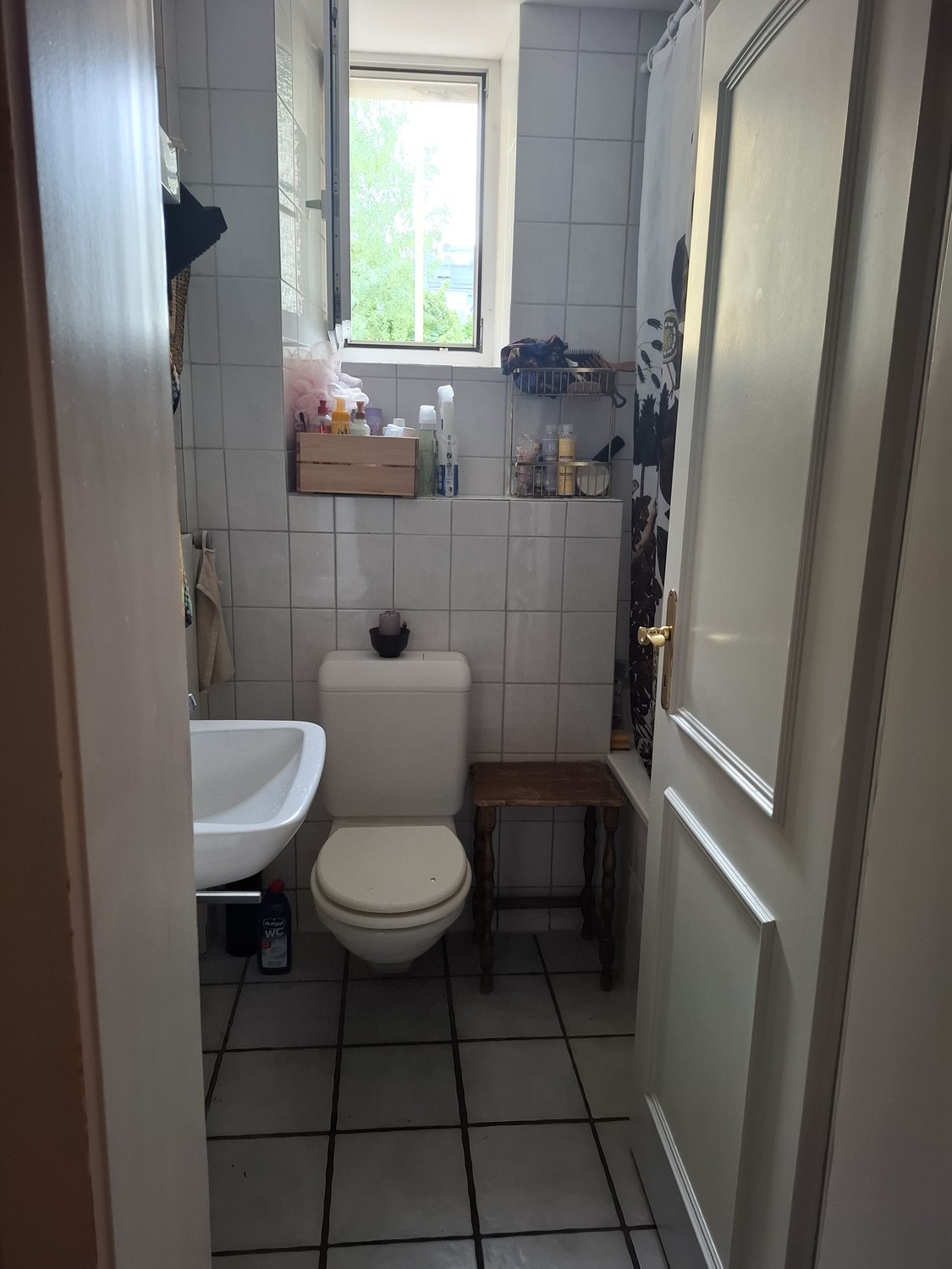 Room in a shared flat