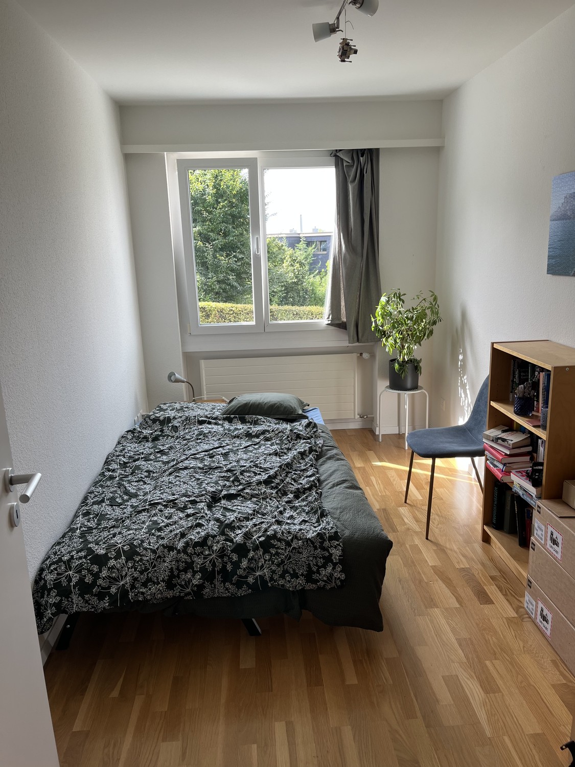 Zimmer in einer WG, Foto 5 von 10