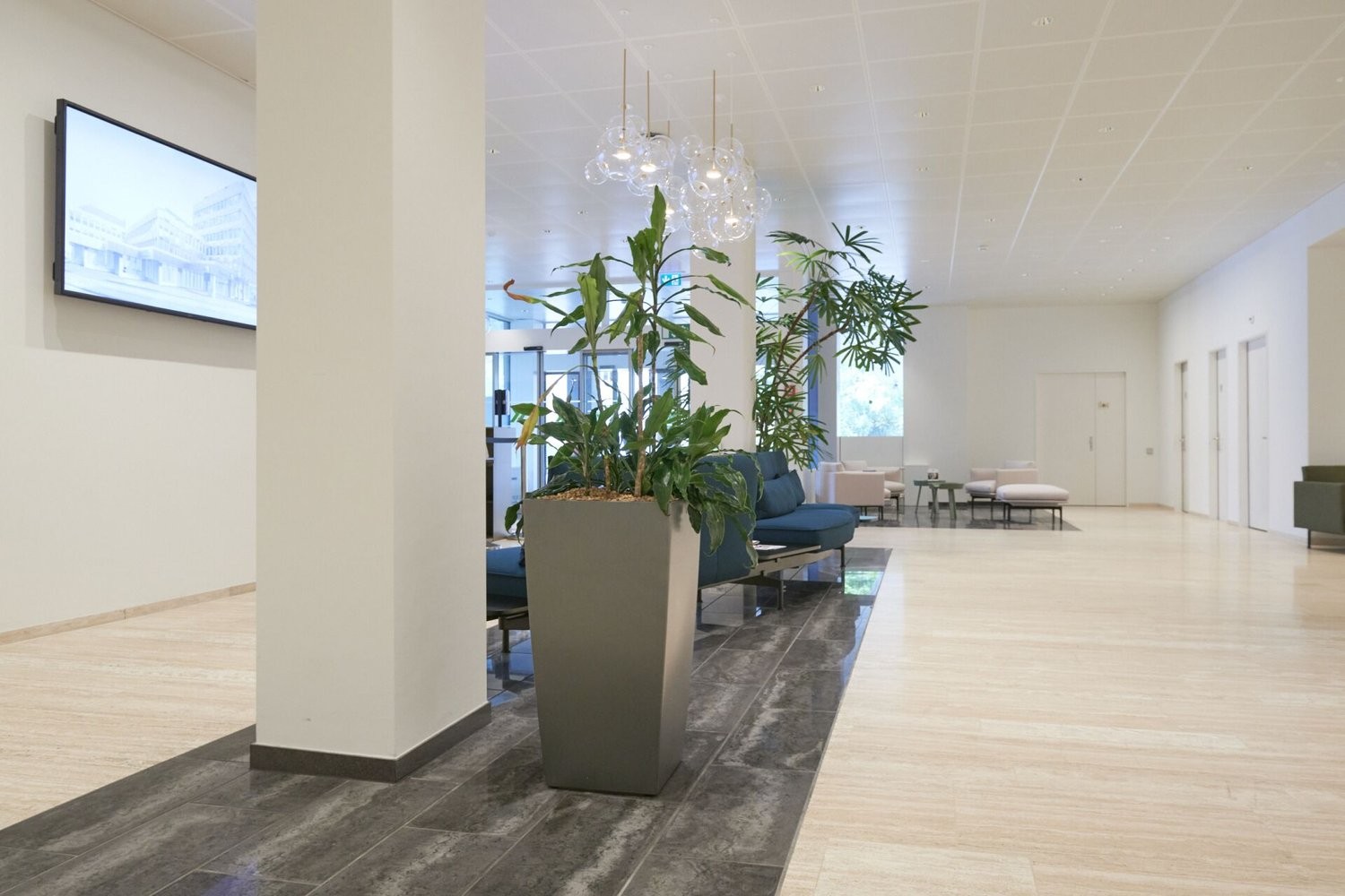 141m² commercial