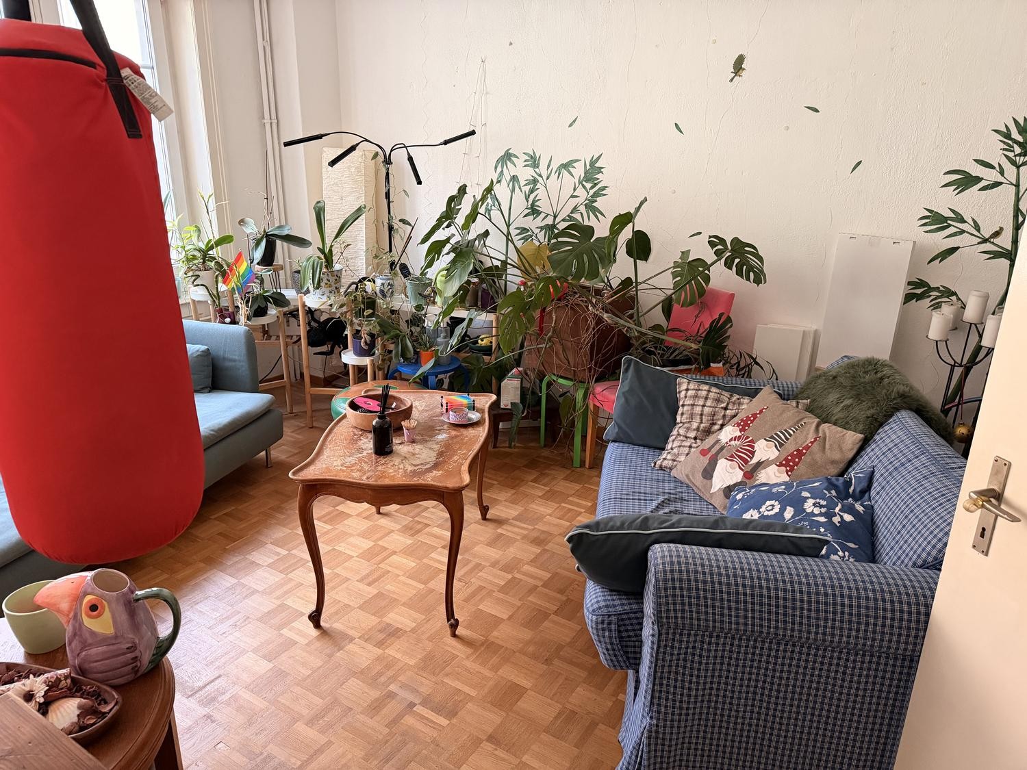 Chambre dans une colocation