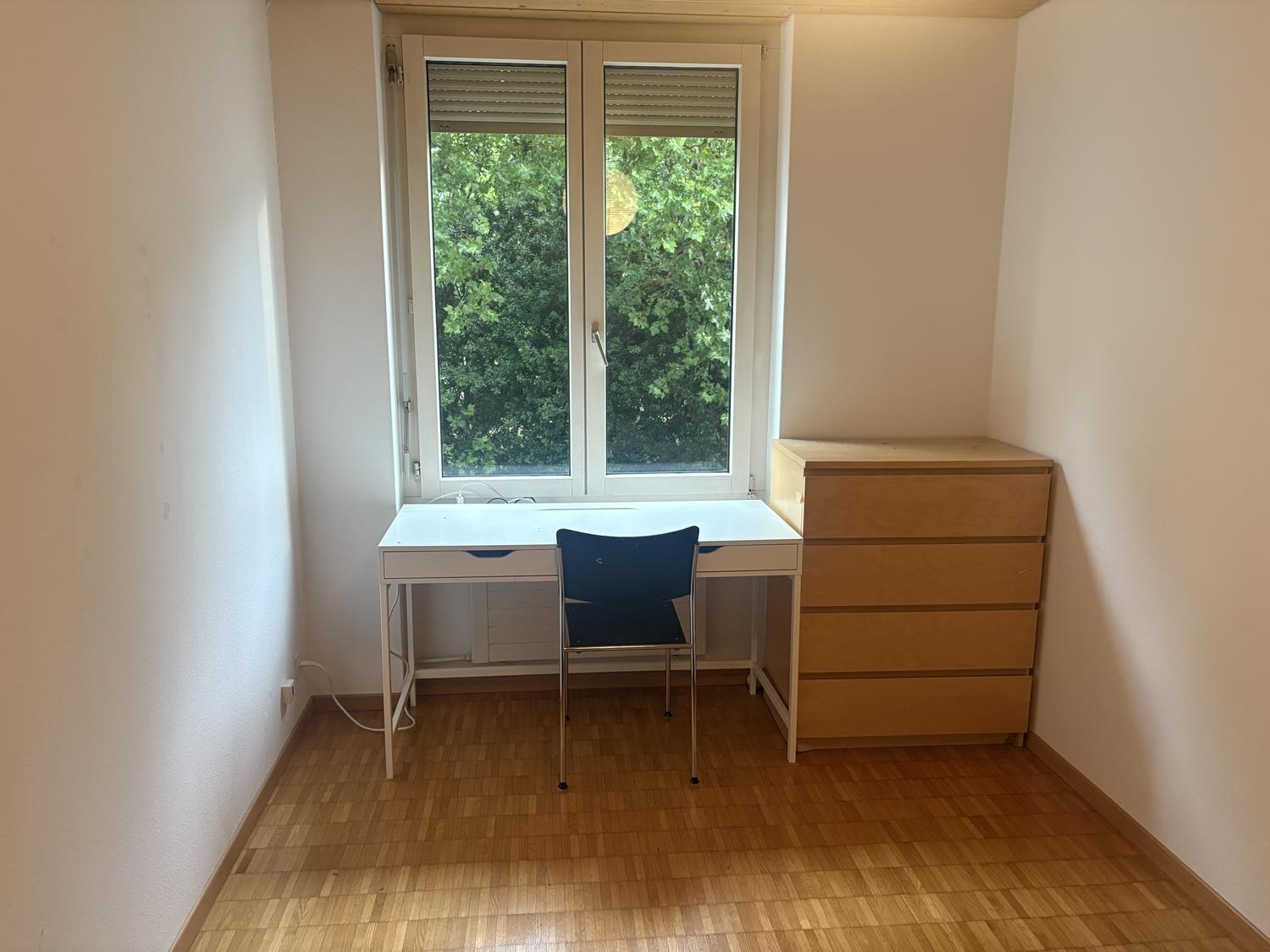 Room in a shared flat