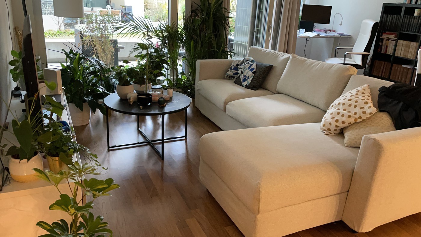 2 ½ Zimmer Wohnung