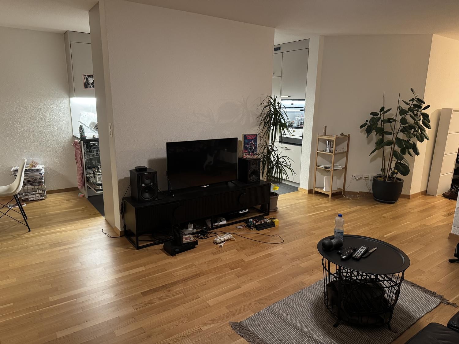 Appartement de 3 ½ pièces