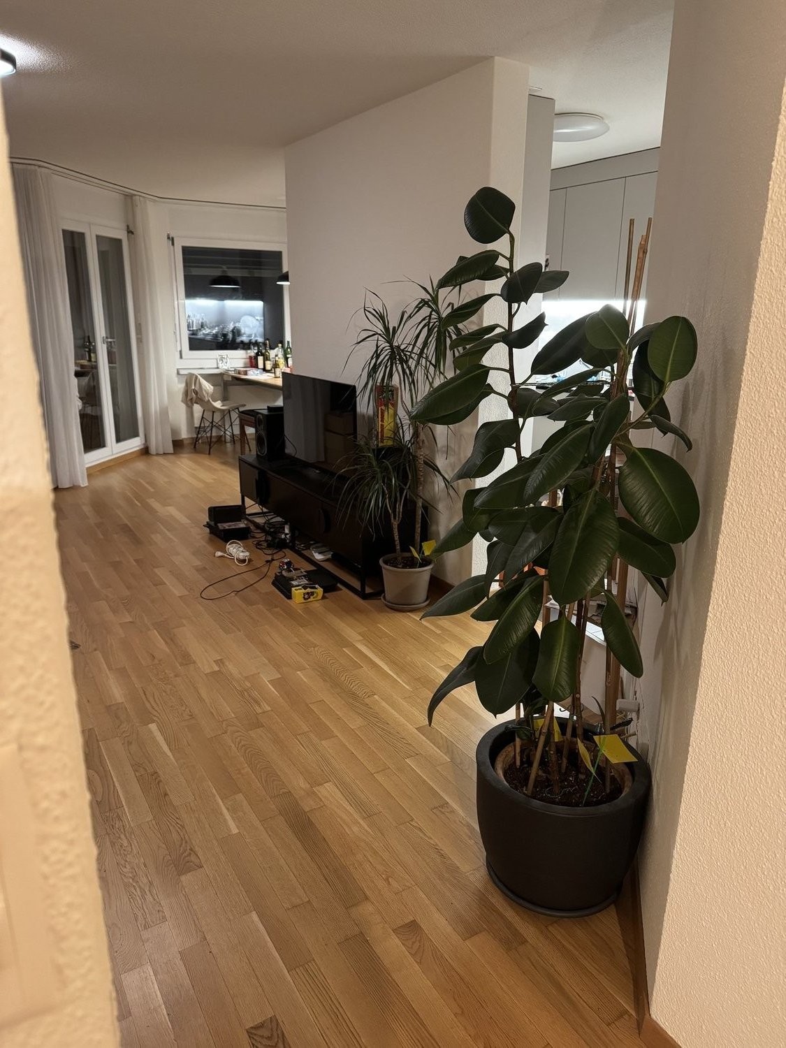 Appartement de 3 ½ pièces