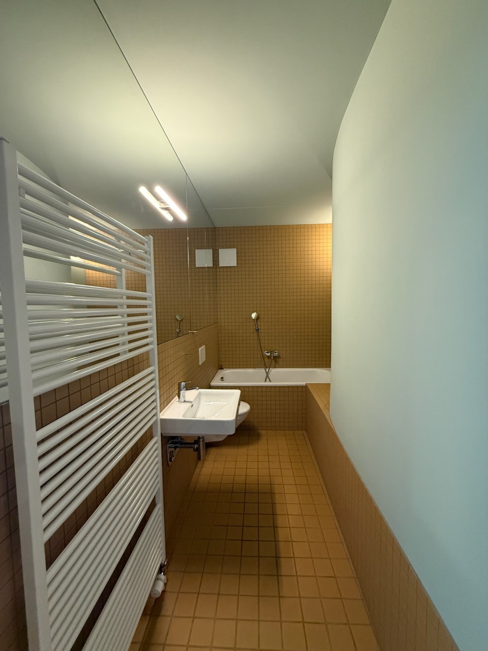 4 ½ Zimmer Wohnung