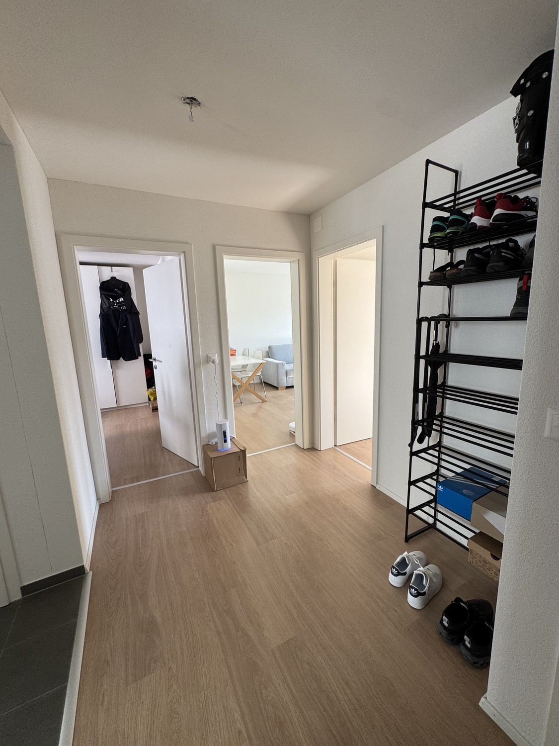 Room in a shared flat