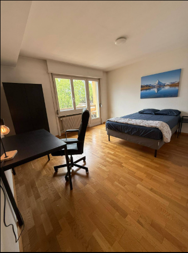 Room in a shared flat