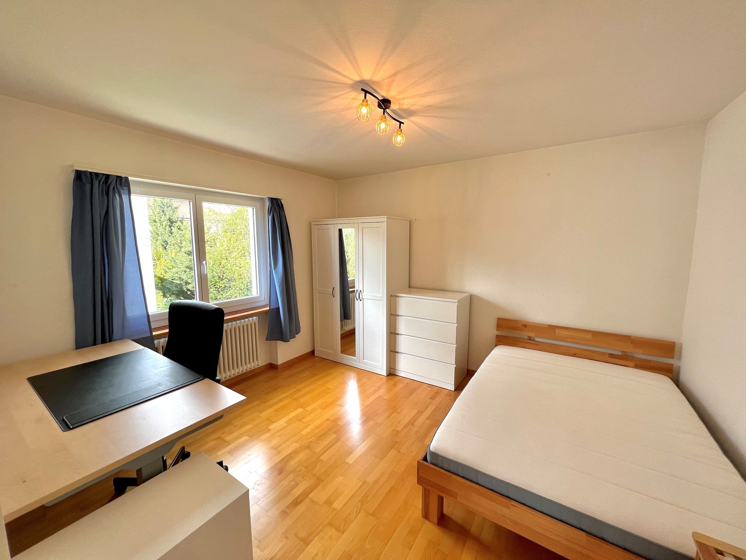 Room in a shared flat